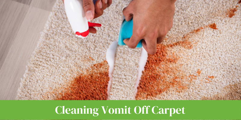Cleaning vomit off carpet - featured image